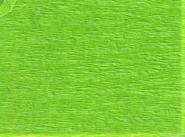 Bastelkrepp hellgrün
