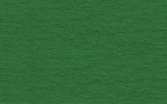 55 dunkelgrün / Tonzeichenpapier 50x70