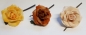 Preview: Rose