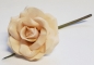 Preview: Rose