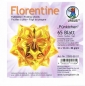Preview: Faltblätter 15x15cm Florentine Origami