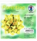 Preview: Faltblätter 15x15cm Florentine Origami