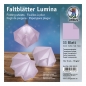 Preview: Bascetta Aurelio Faltpapier Origami