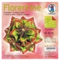 Preview: Faltblätter 15x15cm Florentine Origami