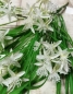Preview: Wiesenblumen-Busch