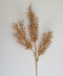Preview: Asparagus stehend gold 27/57cm