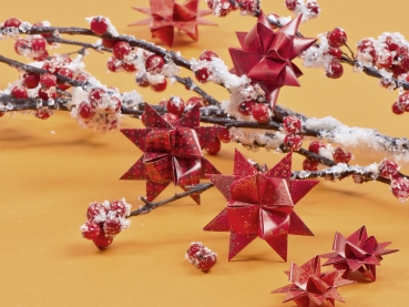 Preview: Fröbelstern-Streifen  Heyda