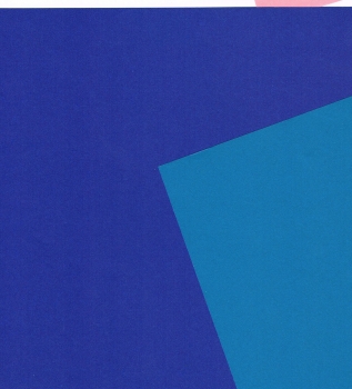 Preview: Bascetta Aurelio Faltpapier Origami