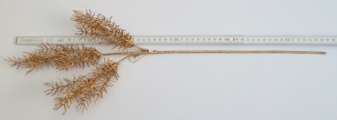Asparagus stehend gold 27/57cm