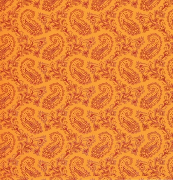 Preview: Bascetta Aurelio Faltpapier Origami