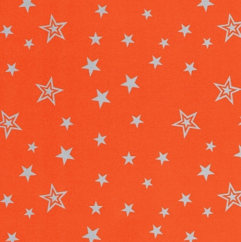 Preview: Bascetta Aurelio Faltpapier Origami