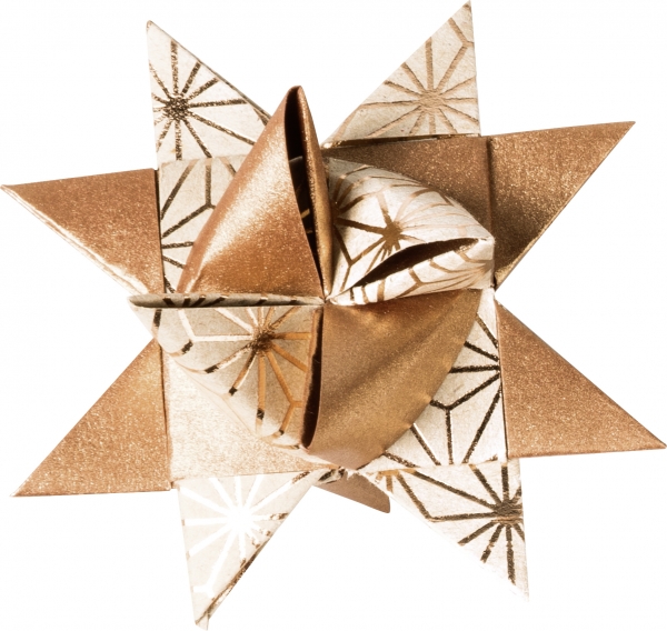 Fröbelstern-Streifen  Heyda