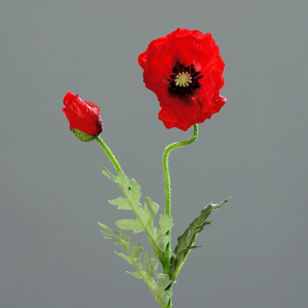 Mohn  künstliche Blumen