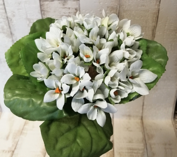 Usambaraveilchen künstlich