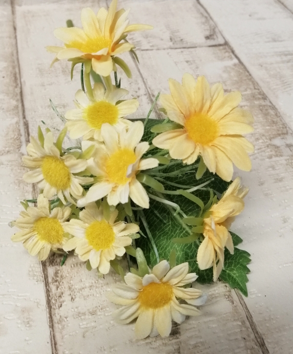 Margeriten-Pick