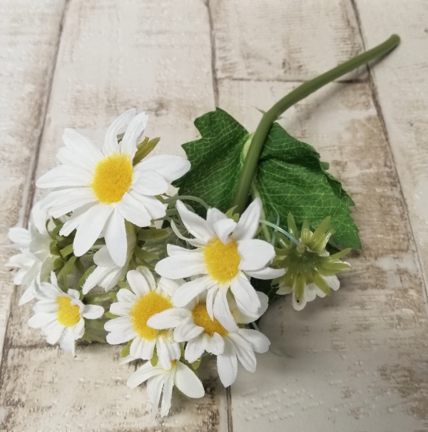Margeriten-Pick