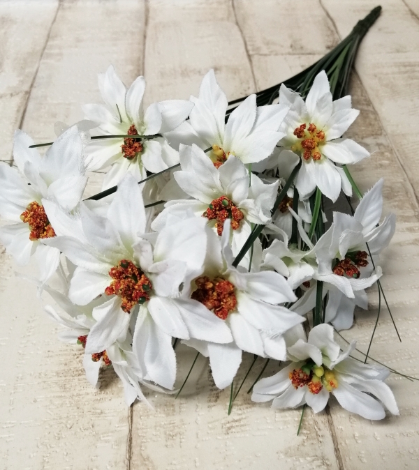 Weihnachtsstern-Strauß 15 Blüten 6/8cm rot