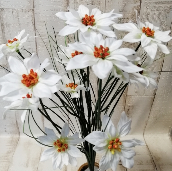 Weihnachtsstern-Strauß 15 Blüten 6/8cm rot