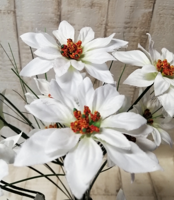 Weihnachtsstern-Strauß 15 Blüten 6/8cm rot