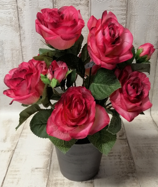 Rosen-Busch
