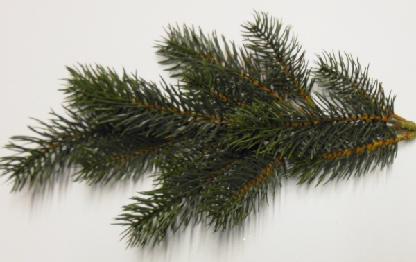 Edel-Tannenzweig x13 grün 50cm künstlich