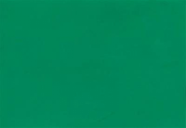 Moosgummi grün 20x30