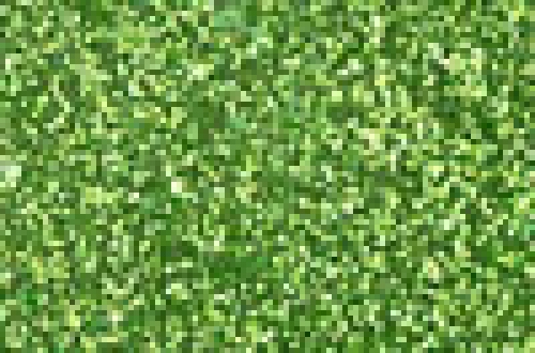 moosgummi glitter
