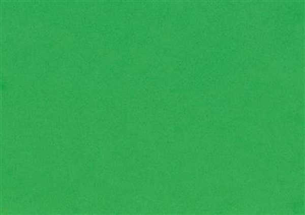Moosgummi maigrün 40x60