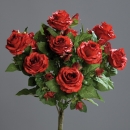 Rosenbusch rot