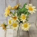 Margeriten-Pick