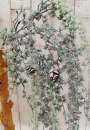 Pinienzweig